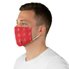 Load image into Gallery viewer, Hip Hop Nationalism Fabric Face Mask