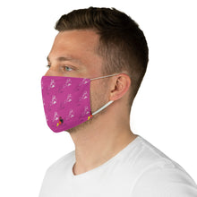 Load image into Gallery viewer, Hip Hop Nationalism Fabric Face Mask
